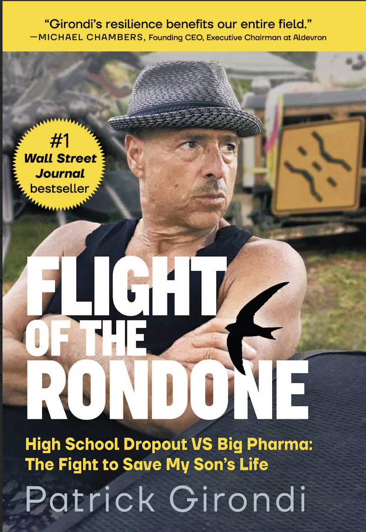 Flight of the Rondone by Patrick Girondi Flight of the Rondone by Patrick Girondi