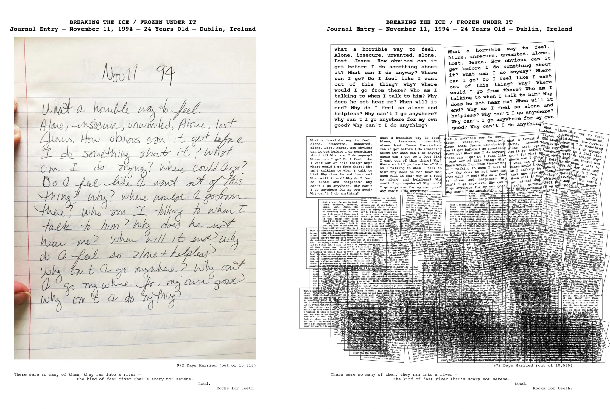 Journal Memoir 1994 copy | BookTrib.