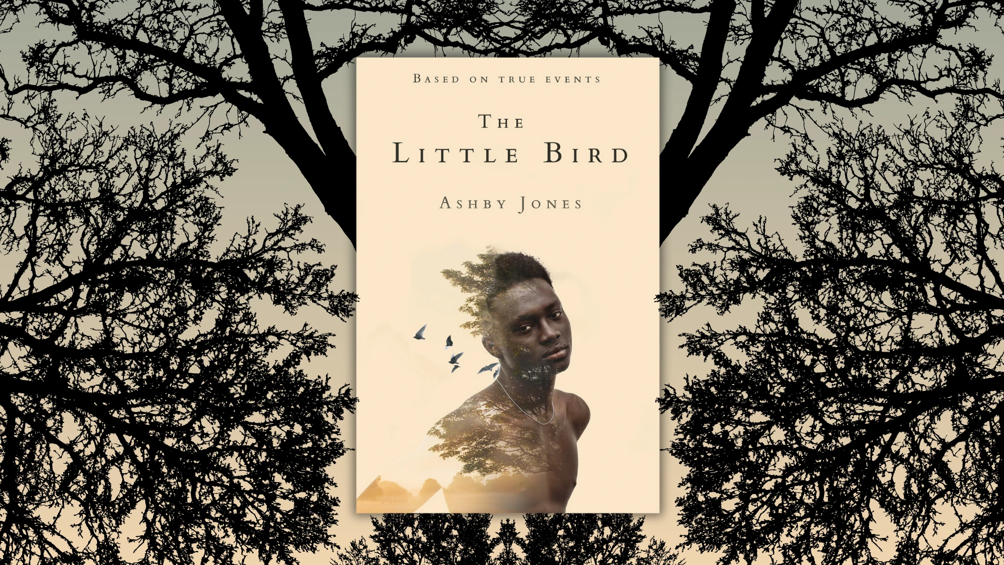 Little Bird