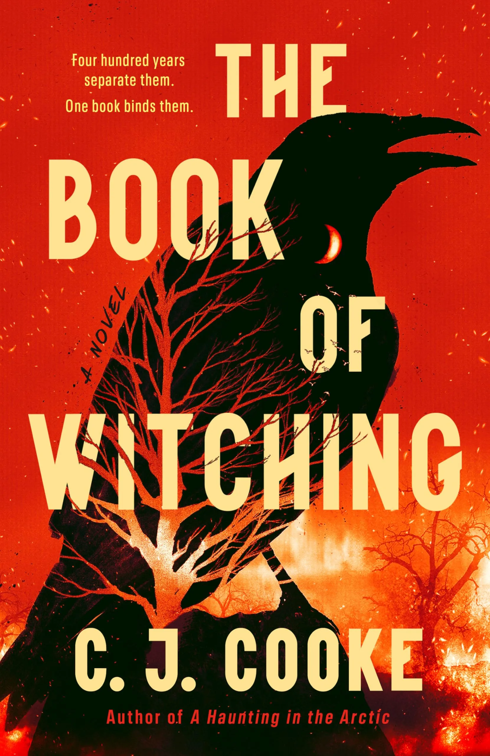 The Book Of Witching by C.J. Cooke The Book Of Witching by C.J. Cooke