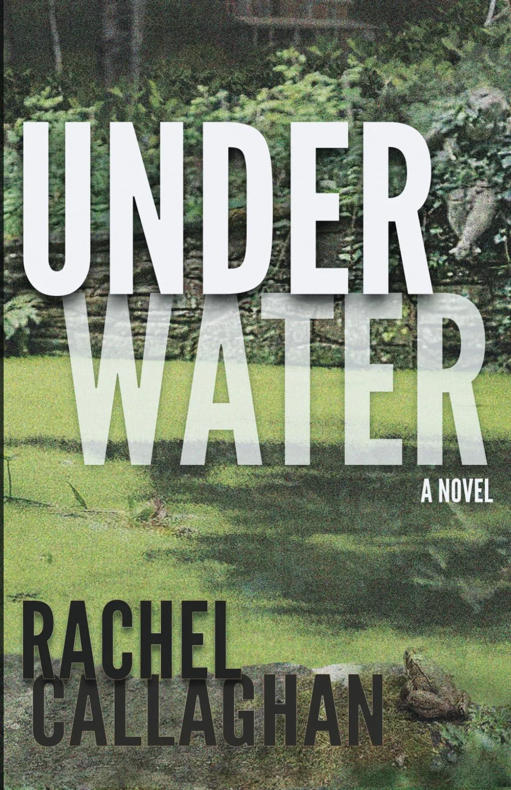 Under Water by Rachel Callaghan Under Water by Rachel Callaghan